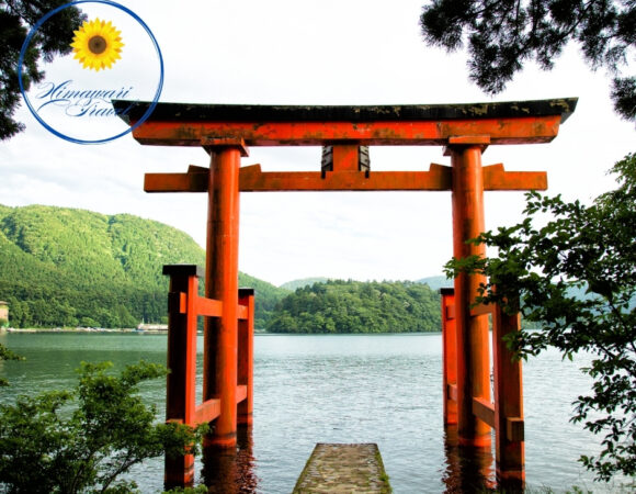 Tour Ghép: Núi Phú Sĩ - Hakone