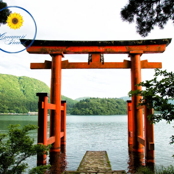 Tour Ghép: Núi Phú Sĩ - Hakone