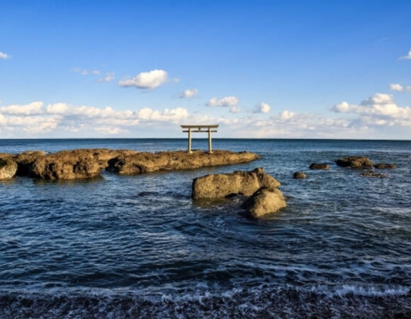 Tour thiết kế riêng: Tokyo - Ibaraki