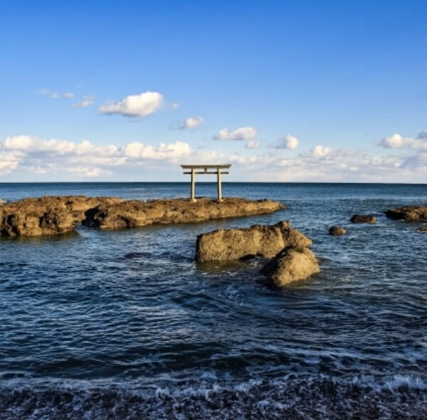 Tour thiết kế riêng: Tokyo - Ibaraki